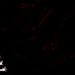Being Monsters Book 1 Chapter 2 page 31 EN